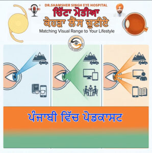 Which Lens (Punjabi)